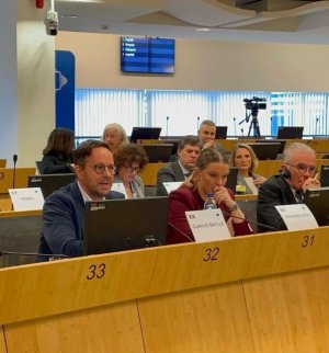 Canarias exige en Bruselas un papel clave en la nueva geopolítica europea con África Occidental