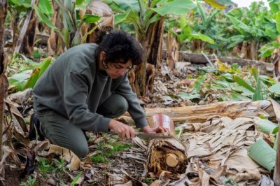 La creadora italiana Giuliana Conte impartir&aacute; los d&iacute;as 9 y 10 de junio un Taller de Grabado