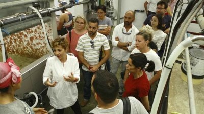 El PSOE de Agaete visita la Quesería Tradicional del Rosario