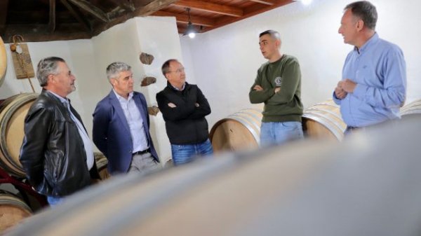 La Palma: Michael Candelario, el vitivinicultor palmero de 25 a&ntilde;os con ventas internacionales