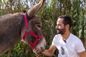 Valleseco: La Noche M&aacute;gica del Burro se traslada a Valsendero para celebrar su tercera edici&oacute;n