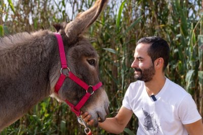 Valleseco: La Noche Mágica del Burro se traslada a Valsendero para celebrar su tercera edición