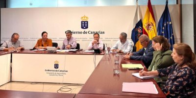 El Gobierno de Canarias destina 347.000 euros a la reproducci&oacute;n in vitro de plantas de pi&ntilde;a sanas