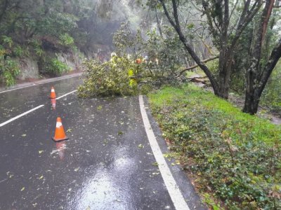 La Gomera: El operativo de carreteras act&uacute;a en una veintena de incidencias por fen&oacute;menos meteorol&oacute;gicos