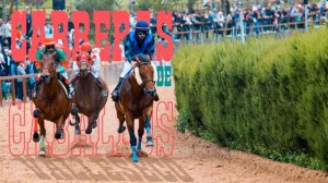 El espectáculo de las carreras de caballos vuelve este sábado al hipódromo de La Laguna de Valleseco
