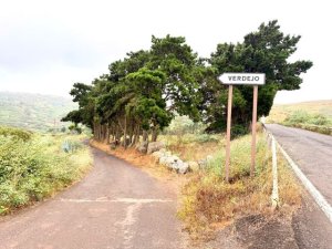 El Ayuntamiento de Gu&iacute;a licitar&aacute; en breve el reasfaltado integral de la carretera de acceso a Verdejo