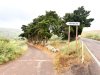 El Ayuntamiento de Gu&iacute;a licitar&aacute; en breve el reasfaltado integral de la carretera de acceso a Verdejo