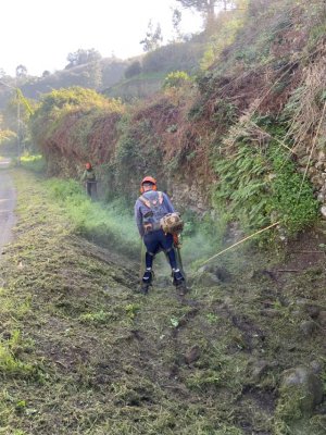 Ha comenzado las labores de despeje, desbroce y limpieza de márgenes en las vías de Valleseco