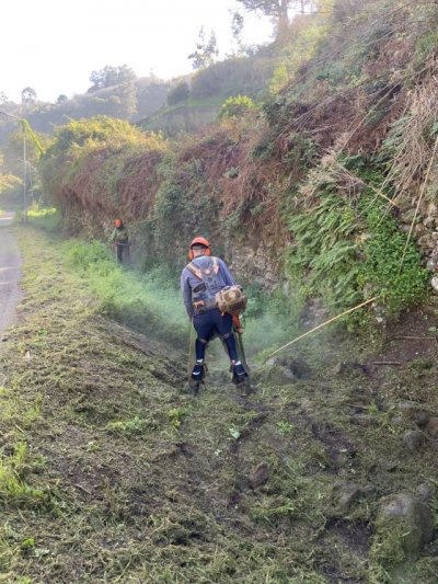 Ha comenzado las labores de despeje, desbroce y limpieza de márgenes en las vías de Valleseco