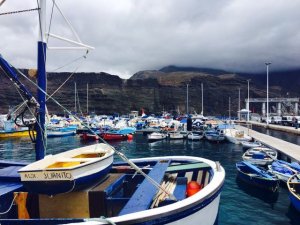 El Gobierno de Canarias concede 305.000 euros de fondos propios en ayudas a la renovación de la flota pesquera