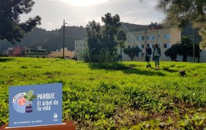 Teror plantará este sábado medio centenar de árboles con los bebés nacidos en el municipio