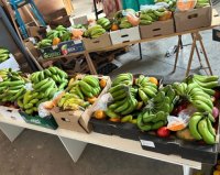 La ofrenda en honor a San Nicol&aacute;s de Tolentino beneficiar&aacute; a 83 familias vulnerables de La Aldea de San Nicol&aacute;s