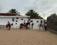 Gáldar: Taller de Hípica en el proyecto Tagoror Ajei Integra