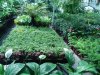 El Gobierno impulsa la comercializaci&oacute;n de frutas, hortalizas, flores y papas con una ayuda de m&aacute;s de 24 millones