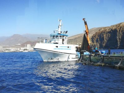 El Gobierno apoya con 1,9 M&euro; al sector pesquero y acu&iacute;cola ante el alza de costes por la guerra de Ucrania