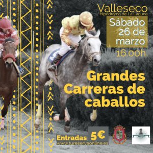 Vuelve las carreras de caballos al hipódromo de La Laguna de Valleseco