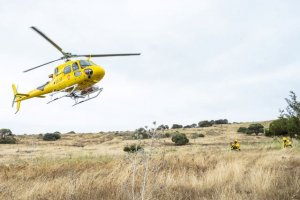 218 efectivos del Cabildo lucharán contra el fuego en la Campaña contra incendios 2022