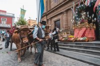 Abiertas las inscripciones para la Romer&iacute;a Ofrenda a Santiago
