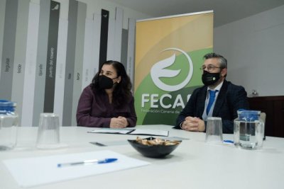 Transición Ecológica y FECAM celebran el primer Encuentro del Pacto de las Alcaldías de Canarias