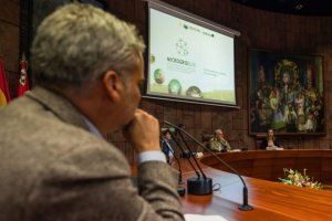 La Gomera acoge un foro regional sobre el futuro del autoconsumo y las comunidades energ&eacute;ticas