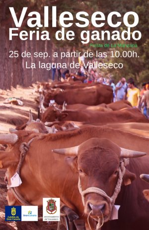 Gran Feria de Ganado de las Fiestas de la Manzana de Valleseco (Vídeo)