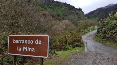 El Plan Hidrol&oacute;gico de Gran Canaria acepta las alegaciones ecologistas y apela a los caudales ecol&oacute;gicos para el Barranco de La Mina aportando una partida para su estudio