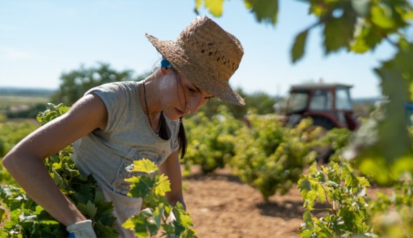 FADEMUR y Bodega Bardos llevan a Madrid los mejores emprendimientos de mujeres rurales