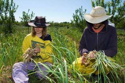 Fademur muestra su satisfacci&oacute;n por el logro del Estatuto de las Mujeres Rurales en Arag&oacute;n