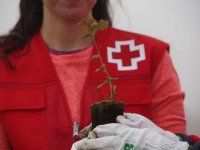 Cruz Roja siembra el futuro: el cuidado del medio ambiente, clave para el empleo verde y la repoblaci&oacute;n