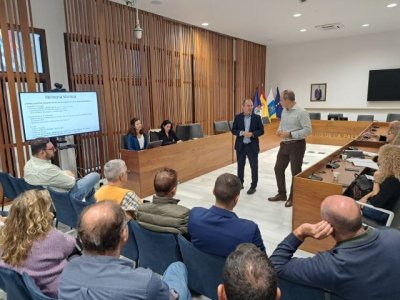 Costas aborda con el Cabildo y ayuntamientos de La Palma la gesti&oacute;n del litoral y las afecciones tras la erupci&oacute;n