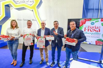 Valsequillo acoge este domingo la octava edici&oacute;n de la Feria de la Fresa con vistas a cubrir la demanda de esta fruta que existe en la isla