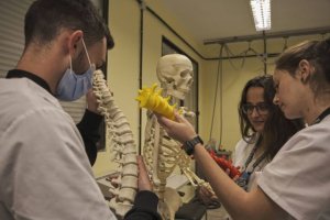 Educación convoca las becas para el alumnado de FP Dual en centros públicos dotadas con cinco millones de euros