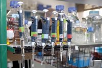 La FIISC convoca subvenciones para proyectos de investigaci&oacute;n en salud