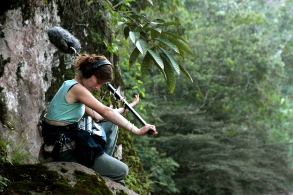 Se abre la inscripci&oacute;n para los cursos de la Muestra de Cine de Lanzarote