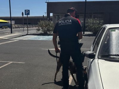 La Polic&iacute;a Canaria estrena Grupo de Gu&iacute;as Caninos con seis perros entrenados en la b&uacute;squeda de estupefacientes