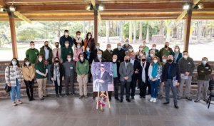 Artículo de opinión: &#039;El drago Bramwell&#039;, por Antonio Morales Méndez