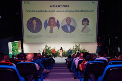 El Gobierno de Canarias presenta la ‘Estrategia Verde’ para alcanzar la autosuficiencia energética en sus vías