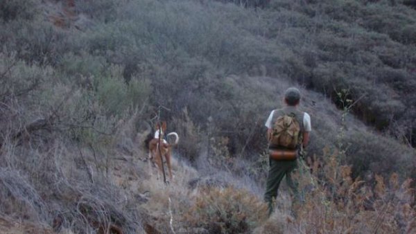 La Gomera: El Cabildo abre la convocatoria de la prueba de aptitud para la obtención de la Licencia de Caza