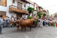 Teror: Este fin de semana se celebra la Fiesta del Agua con Romería, Baile de Taifas, Fuegos y Muestra de Ganado