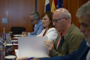 El Gobierno de Canarias inspecciona 90.000 metros cuadrados en Los Rodeos en busca represaliados de la Guerra Civil