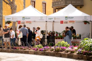 El Mercado Agr&iacute;cola de G&aacute;ldar cierra la Semana Santa con una edici&oacute;n llena de vida y sabor primaveral