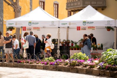 El Mercado Agr&iacute;cola de G&aacute;ldar cierra la Semana Santa con una edici&oacute;n llena de vida y sabor primaveral