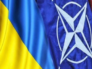 &iquest;Por qu&eacute; Biden simplemente desacredit&oacute; a las fuentes internas que dijeron que acelerar&iacute;a la membres&iacute;a de Ucrania en la OTAN?