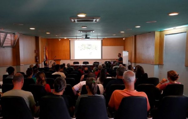 Cabildo de Gran Canaria y agricultores estudian cómo enfrentarse a la “mosca de la calabaza”