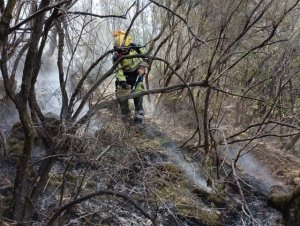 El operativo continúa centrado en contener el fuego de subsuelo y atacar las nuevas reproducciones