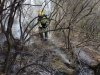 El operativo contin&uacute;a centrado en contener el fuego de subsuelo y atacar las nuevas reproducciones