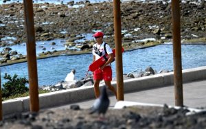Ciudad de Mar y Cruz Roja ofertan talleres sobre seguridad acu&aacute;tica y prevenci&oacute;n de riesgos en las playas de Las Palmas de Gran Canaria