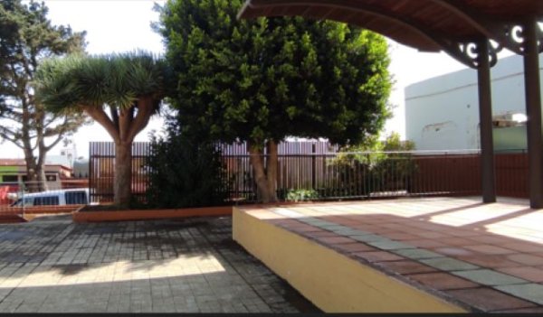 Gáldar: Comienzan las obras de mejora en la Plaza de Saucillo para la construcción de una capilla