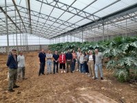 El Gobierno de Canarias y la ULL refuerzan la colaboración para impulsar la formación en el sector agrario