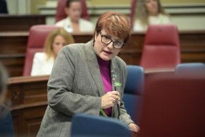 Delgado desmiente, con datos, el alarmismo de la oposici&oacute;n sobre la gesti&oacute;n del sistema de dependencia